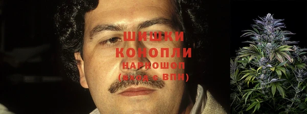 прущий лед Горно-Алтайск