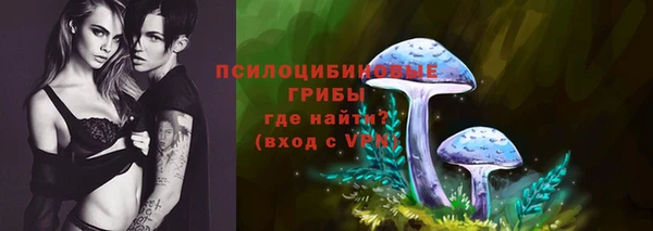 дмт Гусь-Хрустальный