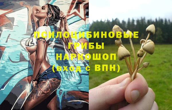 прущий лед Горно-Алтайск